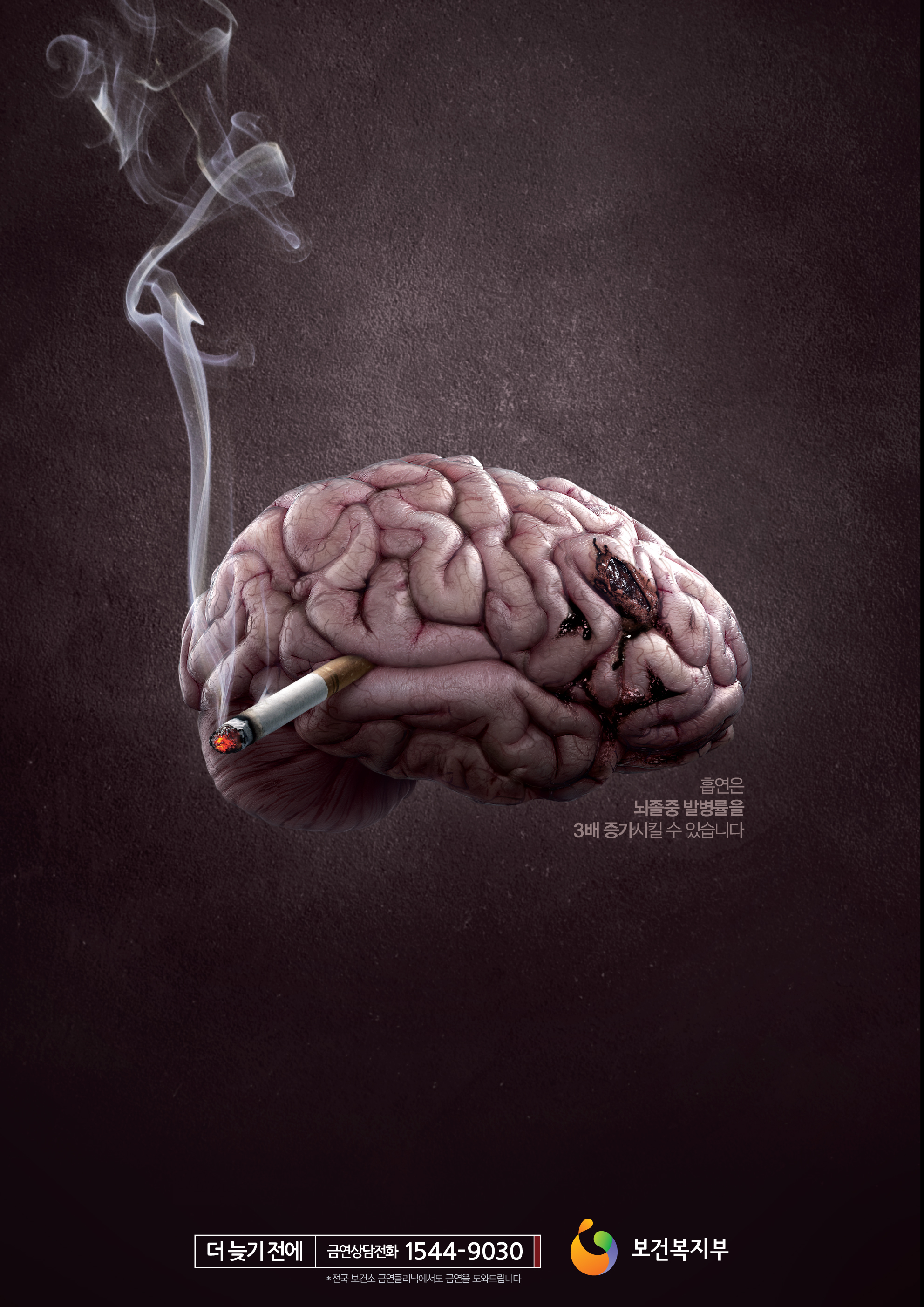 2014년 금연캠페인(포스터) : 뇌졸중게시물의 이미지